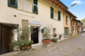 Profumo di Lavanda Verde